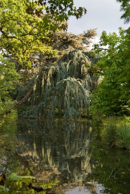 0086Arboretum Vallee aux loups.jpg - SONY DSC